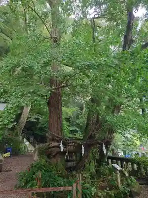 伊那下神社(静岡県)