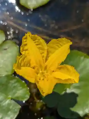 岩井八坂神社(茨城県)