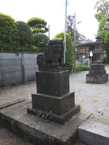 六月八幡神社の狛犬