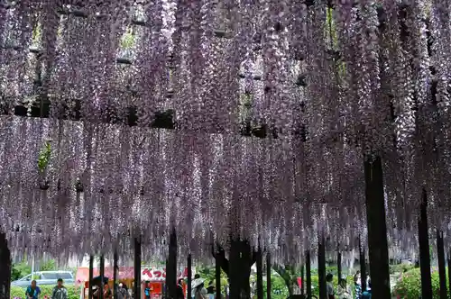 玉敷神社(埼玉県)