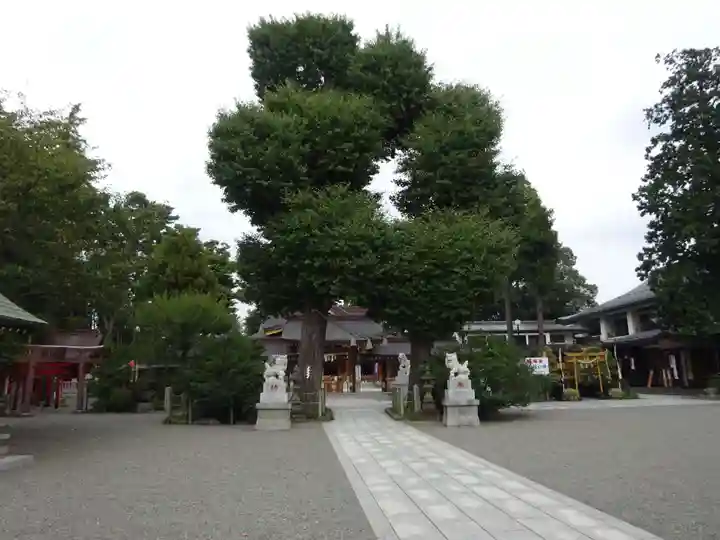 亀ケ池八幡宮の自然