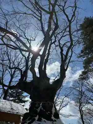 熊野皇大神社(長野県)