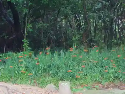 年毛神社(福岡県)