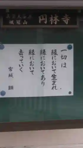円林寺のその他建物