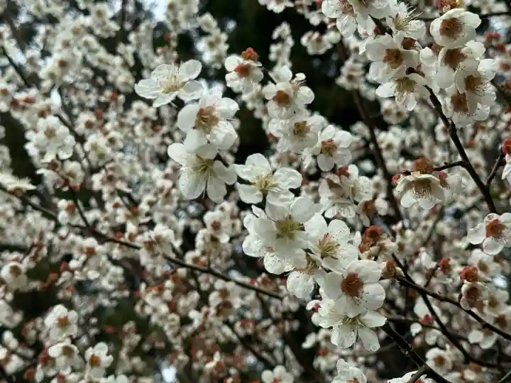 豊景神社の{uncategorized: "未分類", other: "その他", undefined: "問題あり", building: "その他建物", grave: "お墓", sacred_gate: "鳥居", guardian: "狛犬", statue: "像", buddha: "仏像", history: "歴史", nature: "自然", garden: "庭園", animal: "動物", pagoda: "塔", temizu: "手水舎", mountain_gate: "山門・神門", sanctuary: "本殿・本堂", subordinate: "末社・摂社", art: "芸術", scenery: "景色", jizo: "地蔵", ema: "絵馬", goshuin: "御朱印", omikuji: "おみくじ", items: "授与品その他", amulet: "お守り", goshuincho: "御朱印帳", eats: "食事", festival: "お祭り", votive_dance: "神楽", shichigosan: "七五三参", wedding: "結婚式", experience: "体験その他", initially: "初詣", around: "周辺", anti_infection: "感染症対策"}