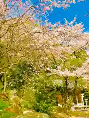 金獄神社の自然