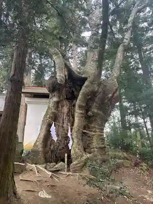 黒沼神社(福島県)