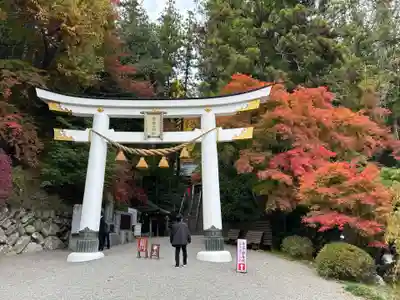 宝登山神社(埼玉県)
