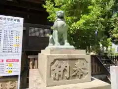 神炊館神社 ⁂奥州須賀川総鎮守⁂の狛犬