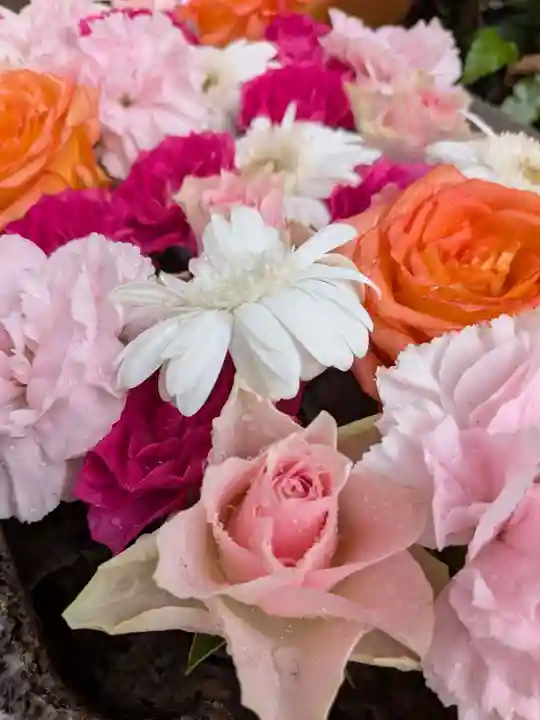 本郷氷川神社(東京都)