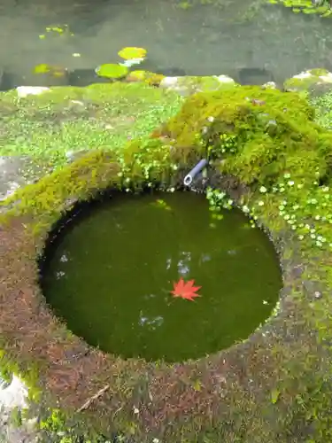 圓教寺の手水舎