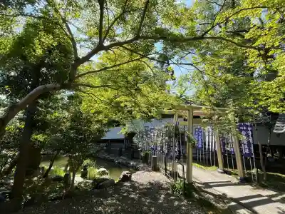 白金龍王社(愛知県)