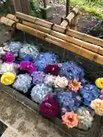 糀谷八幡宮の手水舎