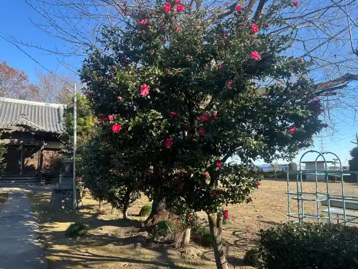 徳川東照宮(群馬県)