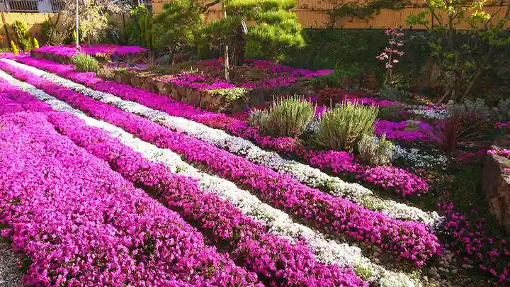 寿量山 速成寺の自然