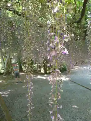 唐澤山神社(栃木県)