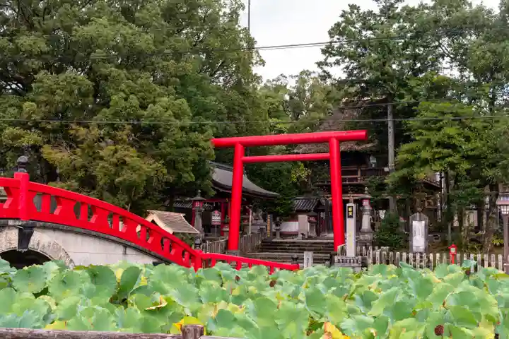 青井阿蘇神社(熊本県)