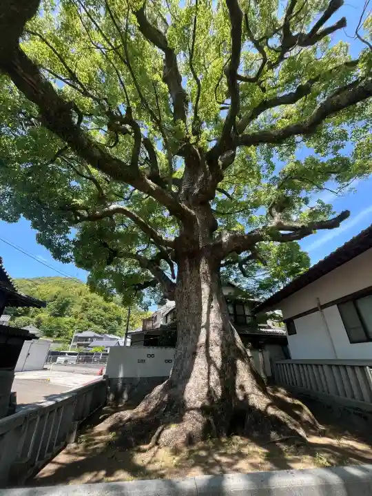八岩華神社の{uncategorized: "未分類", other: "その他", undefined: "問題あり", building: "その他建物", grave: "お墓", sacred_gate: "鳥居", guardian: "狛犬", statue: "像", buddha: "仏像", history: "歴史", nature: "自然", garden: "庭園", animal: "動物", pagoda: "塔", temizu: "手水舎", mountain_gate: "山門・神門", sanctuary: "本殿・本堂", subordinate: "末社・摂社", art: "芸術", scenery: "景色", jizo: "地蔵", ema: "絵馬", goshuin: "御朱印", omikuji: "おみくじ", items: "授与品その他", amulet: "お守り", goshuincho: "御朱印帳", eats: "食事", festival: "お祭り", votive_dance: "神楽", shichigosan: "七五三参", wedding: "結婚式", experience: "体験その他", initially: "初詣", around: "周辺", anti_infection: "感染症対策"}