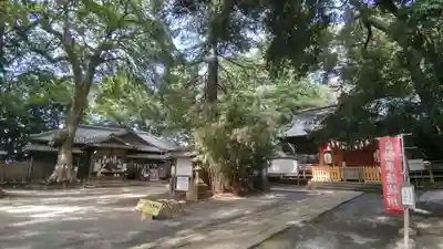 氷川女體神社(埼玉県)