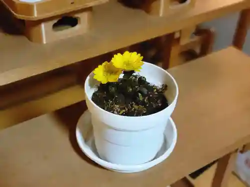 伏木香取神社のその他建物