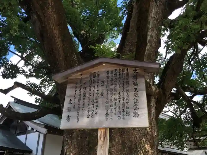 太宰府天満宮の自然