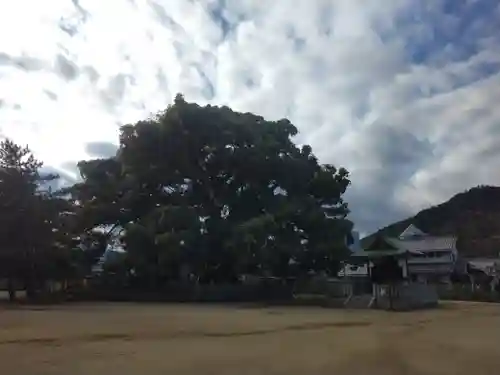 善通寺(香川県)