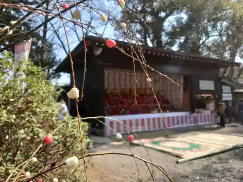 座間神社(神奈川県)