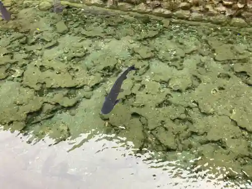 鑁阿寺(栃木県)