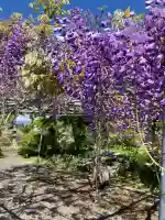 観音寺(沢観音)(栃木県)