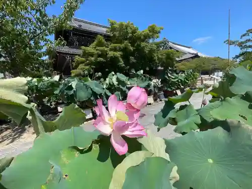 本山専修寺(三重県)
