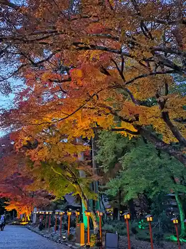 日吉大社(滋賀県)