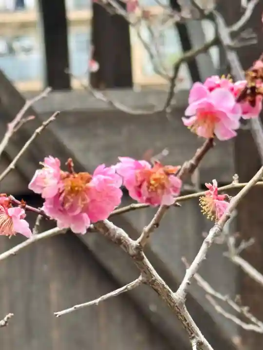 備後天満神社(兵庫県)