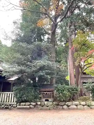 歳苗神社(滋賀県)