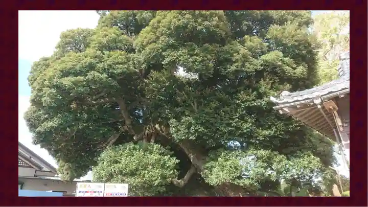 九重神社(埼玉県)