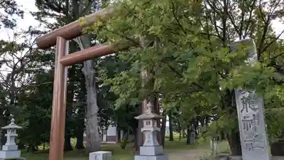 真龍神社の鳥居