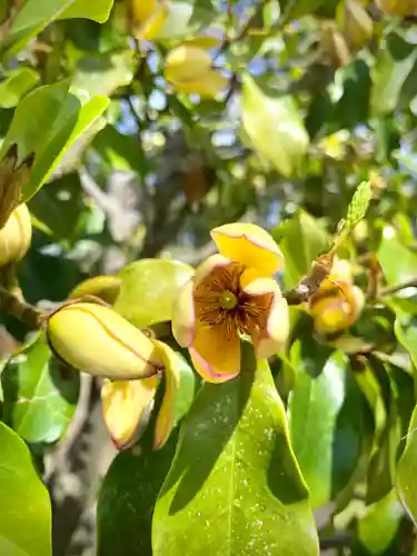 鹿嶋三嶋神社(茨城県)