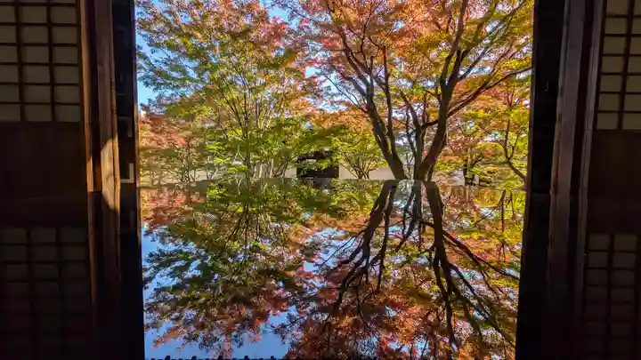 妙覺寺(妙覚寺)(京都府)