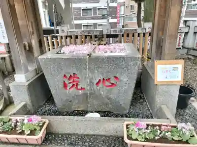 高円寺氷川神社の{uncategorized: "未分類", other: "その他", undefined: "問題あり", building: "その他建物", grave: "お墓", sacred_gate: "鳥居", guardian: "狛犬", statue: "像", buddha: "仏像", history: "歴史", nature: "自然", garden: "庭園", animal: "動物", pagoda: "塔", temizu: "手水舎", mountain_gate: "山門・神門", sanctuary: "本殿・本堂", subordinate: "末社・摂社", art: "芸術", scenery: "景色", jizo: "地蔵", ema: "絵馬", goshuin: "御朱印", omikuji: "おみくじ", items: "授与品その他", amulet: "お守り", goshuincho: "御朱印帳", eats: "食事", festival: "お祭り", votive_dance: "神楽", shichigosan: "七五三参", wedding: "結婚式", experience: "体験その他", initially: "初詣", around: "周辺", anti_infection: "感染症対策"}