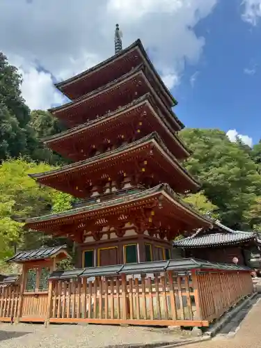 長谷寺の{uncategorized: "未分類", other: "その他", undefined: "問題あり", building: "その他建物", grave: "お墓", sacred_gate: "鳥居", guardian: "狛犬", statue: "像", buddha: "仏像", history: "歴史", nature: "自然", garden: "庭園", animal: "動物", pagoda: "塔", temizu: "手水舎", mountain_gate: "山門・神門", sanctuary: "本殿・本堂", subordinate: "末社・摂社", art: "芸術", scenery: "景色", jizo: "地蔵", ema: "絵馬", goshuin: "御朱印", omikuji: "おみくじ", items: "授与品その他", amulet: "お守り", goshuincho: "御朱印帳", eats: "食事", festival: "お祭り", votive_dance: "神楽", shichigosan: "七五三参", wedding: "結婚式", experience: "体験その他", initially: "初詣", around: "周辺", anti_infection: "感染症対策"}