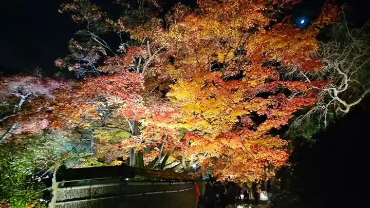 宝厳院(京都府)