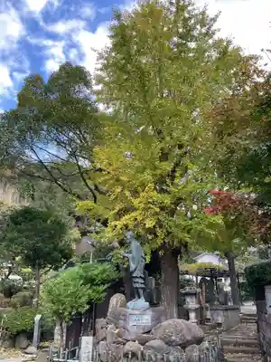光触寺(神奈川県)