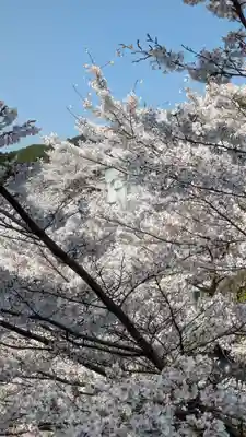 南法華寺（壷阪寺）(奈良県)