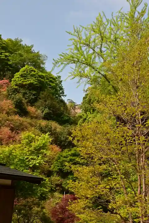 秩父札所三十二番 法性寺(埼玉県)