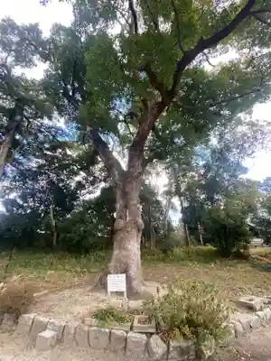 機物神社(大阪府)