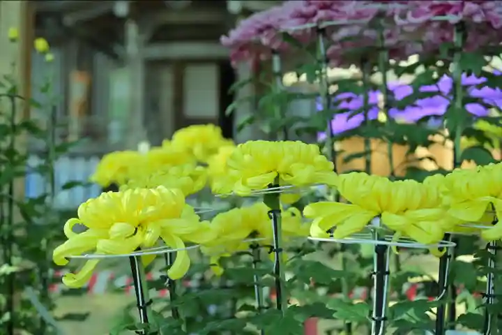 普光寺(新潟県)