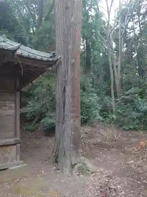 佐志能神社のその他建物