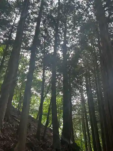 三峯神社奥宮(埼玉県)
