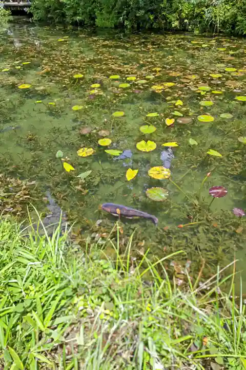 根道神社(岐阜県)
