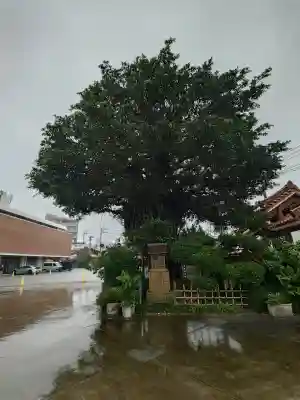 慈眼院(沖縄県)