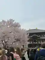 東大寺の{uncategorized: "未分類", other: "その他", undefined: "問題あり", building: "その他建物", grave: "お墓", sacred_gate: "鳥居", guardian: "狛犬", statue: "像", buddha: "仏像", history: "歴史", nature: "自然", garden: "庭園", animal: "動物", pagoda: "塔", temizu: "手水舎", mountain_gate: "山門・神門", sanctuary: "本殿・本堂", subordinate: "末社・摂社", art: "芸術", scenery: "景色", jizo: "地蔵", ema: "絵馬", goshuin: "御朱印", omikuji: "おみくじ", items: "授与品その他", amulet: "お守り", goshuincho: "御朱印帳", eats: "食事", festival: "お祭り", votive_dance: "神楽", shichigosan: "七五三参", wedding: "結婚式", experience: "体験その他", initially: "初詣", around: "周辺", anti_infection: "感染症対策"}